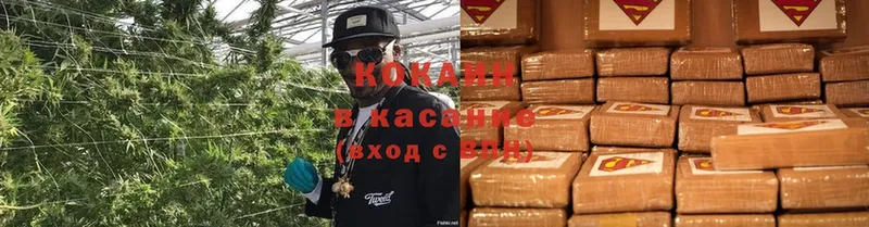 Cocaine Эквадор Дмитриев